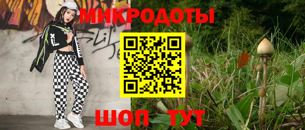 Псилоцибиновые грибы Cubensis  Вход с VPN  купить закладку  Гай  Псилоцибиновые грибы Psilocybe 